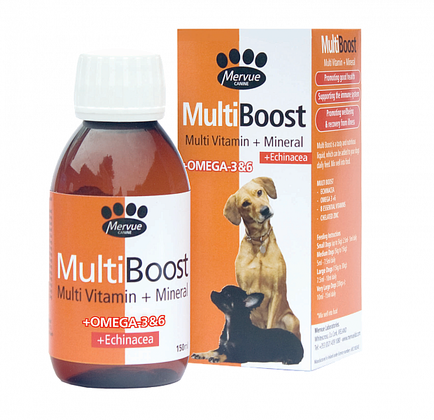 Inform Nutrition: Мульти Буст / MultiBoost Liquid for Dogs, комплексная витаминная добавка для собак, сироп, 150 мл  