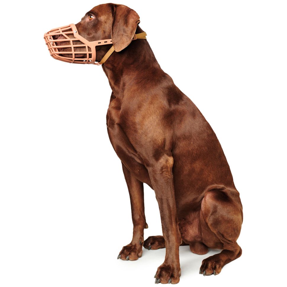 Hunter: намордник для собак, пластиковый, размер 6 (6-10 см) / 28 см, макс. 54 см, лабрадор