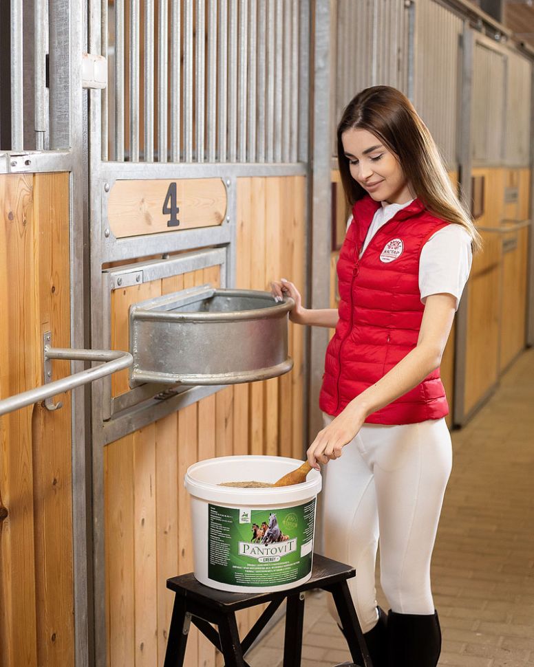Идальго: PantoVit Energy / Пантовит Энерджи витаминно-минеральный комплекс для лошадей в тренинге, 5 кг