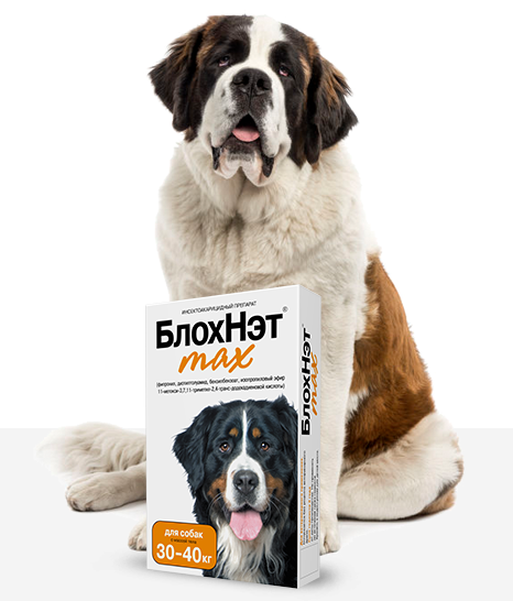 БлохНэт max: капли от блох, клещей, вшей, власоедов, для собак 30-40 кг, 4 мл