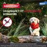 Bayer: Адвантикс 100, капли противопаразитарные, для собак 4-10 кг, 4 пип./уп., цена за 1 пип.