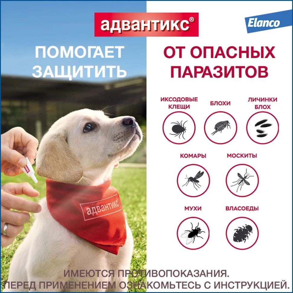 Elanco: Адвантикс XXL капли, противопаразитарные, для собак 40-60 кг, 4 пип*6 мл