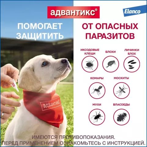 Elanco: Адвантикс 250 капли противопаразитарный, для собак 10-25 кг, 4 пип./уп, цена за 1 пип.