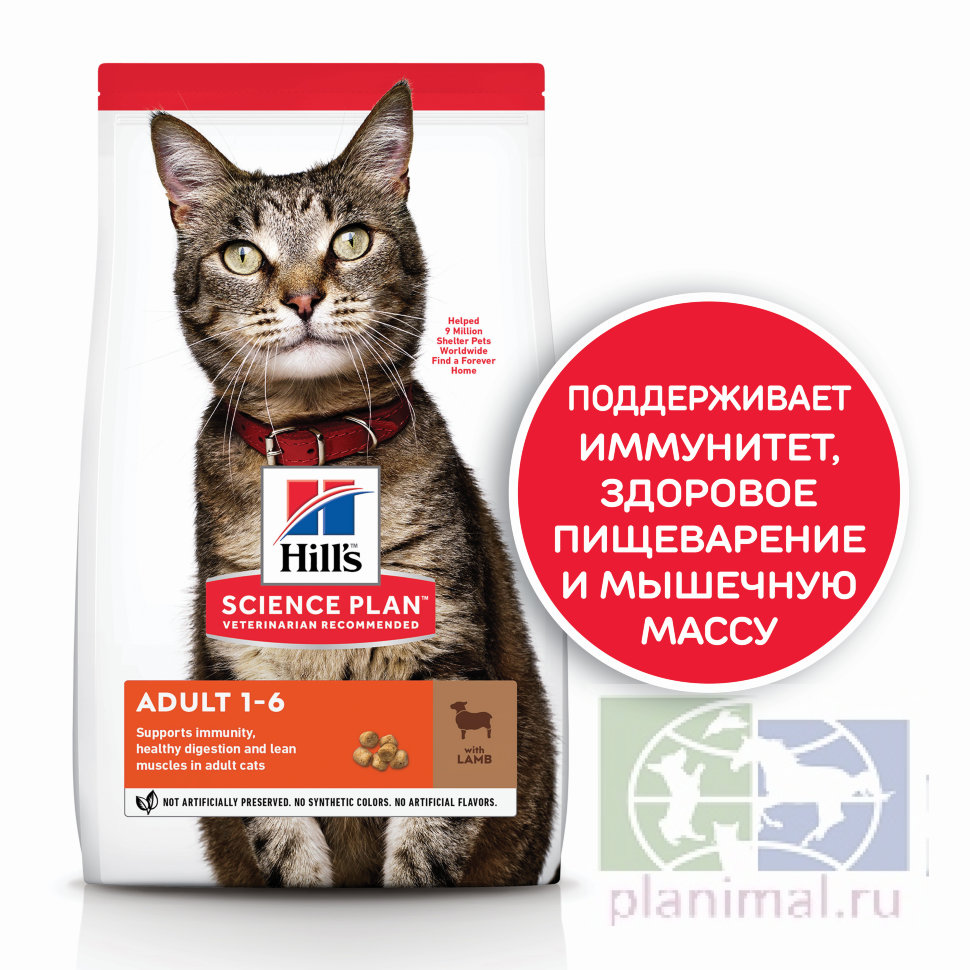 Сухой корм Hill's Science Plan для взрослых кошек для поддержания жизненной энергии и иммунитета, с ягненком, 1,5 кг