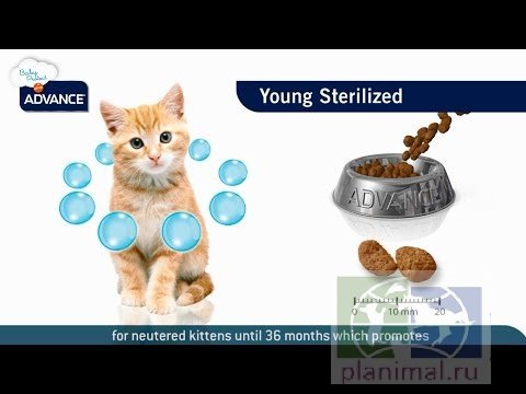 Advance корм для стерилизованных кошек до 3 лет,  Young Sterilized, 0,4 кг