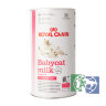RC Babycat Milk  0.3 (от 0-2 месяцев) молочное питание д/котят