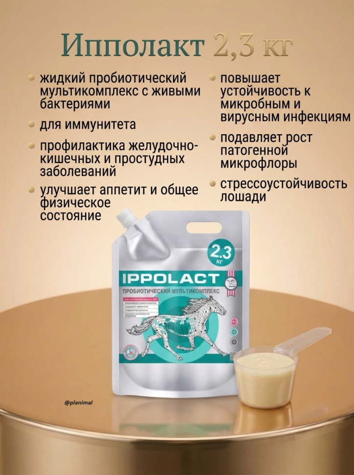 Пробио: Ипполакт, пробиотический мультикомплекс для лошадей, 2,3 кг