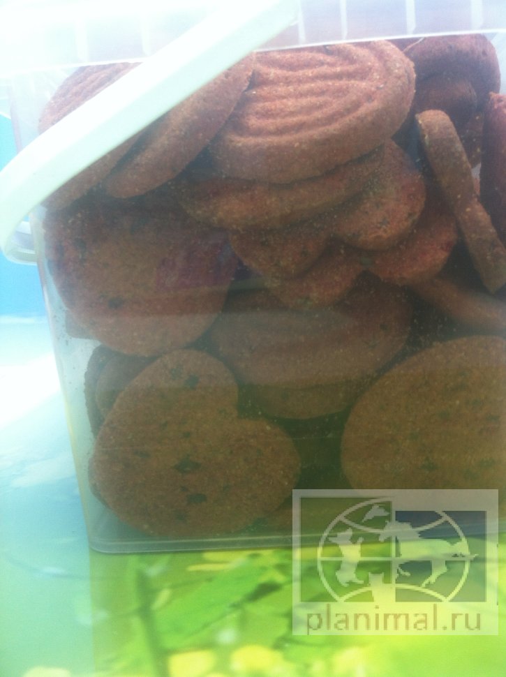 Био-лакомство "Поделись с лошадью" - пробиотическое печенье "Розовый Единорог" с малиной, 900 гр.