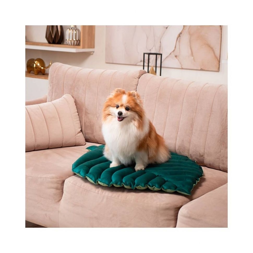 Mr.Kranch: Лежанка для собак, Листочек, средняя, двусторонняя, с имитацией кожи, зеленая, 90 х 65 х 5 см
