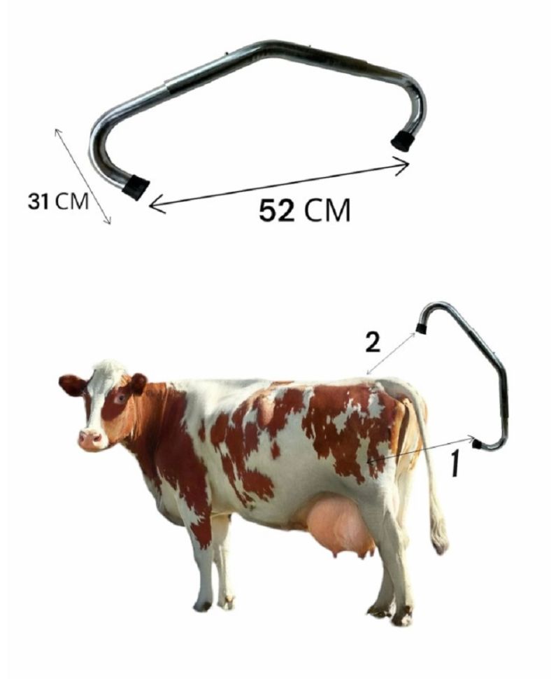 Ама+: Антибрык оцинкованный для фиксации задних конечностей коров