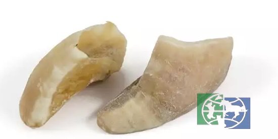 TiTBiT: Копыто говяжье - мягкая упаковка