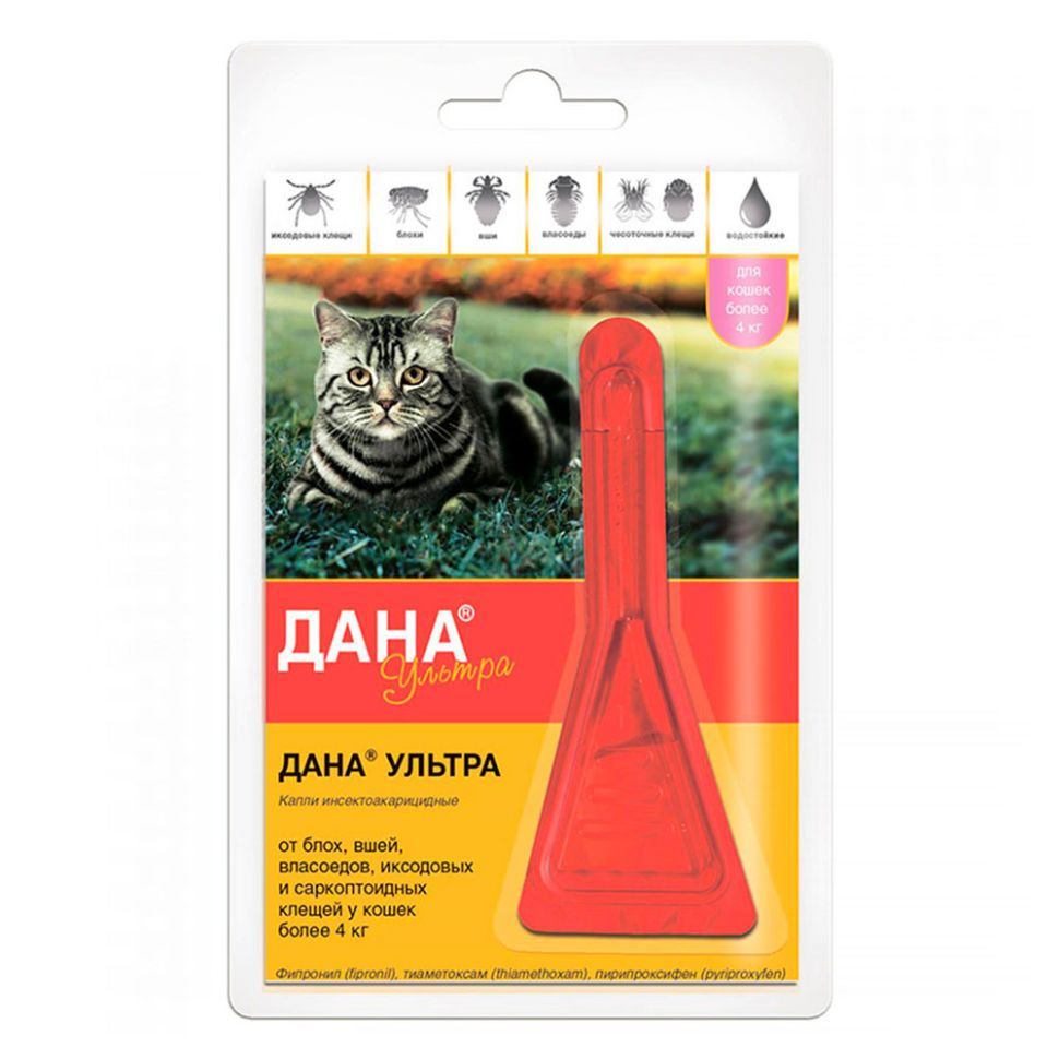 Апи-Сан: Дана Ультра, капли инсектицидные, для кошек более 4 кг, 1 пипетка, 0,64 мл