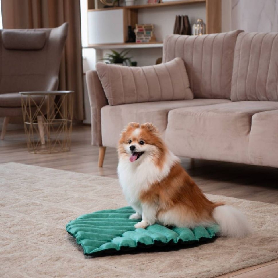 Mr.Kranch: Лежанка для собак, Листочек, средняя, двусторонняя, зеленая, 90 х 65 х 5 см