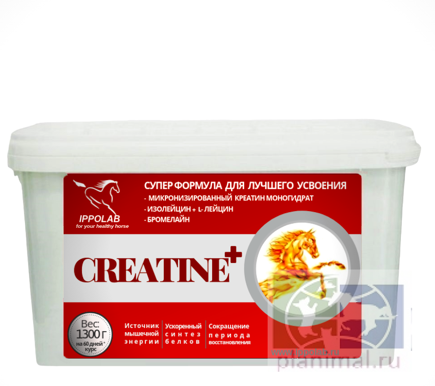 Ippolab Креатин + / Creatin +, энергетическая подкормка для спортивных лошадей на 60 дней, 1,3 кг