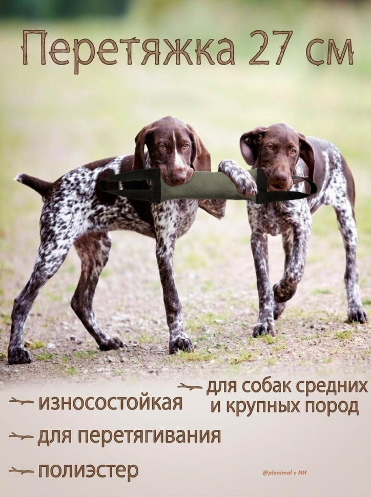Gamma: Игрушка износостойкая для собак Перетяжка S, 27 *8 * 4 см, полиэстер, 12142006
