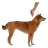 Bayer: Адвокат 400, капли противопаразитарные, для собак более 25 кг, 3 пипетки х 4 мл