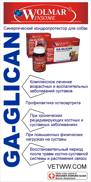 Wolmar Winsome Pro Bio Ga-Glican лечение возрастных, воспалительных заболеваний суставов собак, 180 табл.
