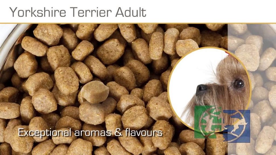 RC Yorkshire Terrier Adult Корм для собак породы Йоркширский терьер от 10 месяцев, 1,5 кг