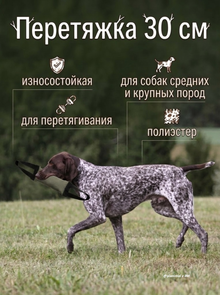 Gamma: Игрушка износостойкая для собак Перетяжка M, 30 * 10 * 5 см, 12142007