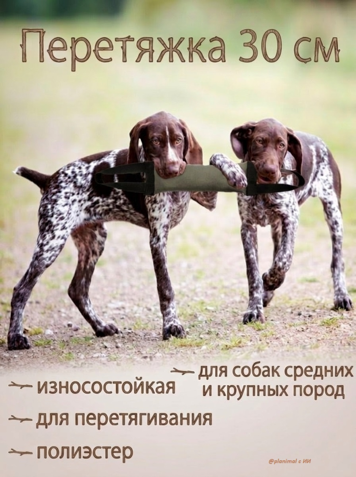 Gamma: Игрушка износостойкая для собак Перетяжка M, 30 * 10 * 5 см, 12142007