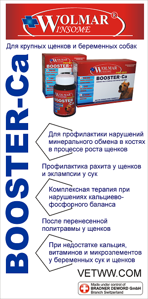 Wolmar Winsome Pro Bio Booster Ca для средних и крупных пород кальциево-фосфорного баланс, 180 табл.