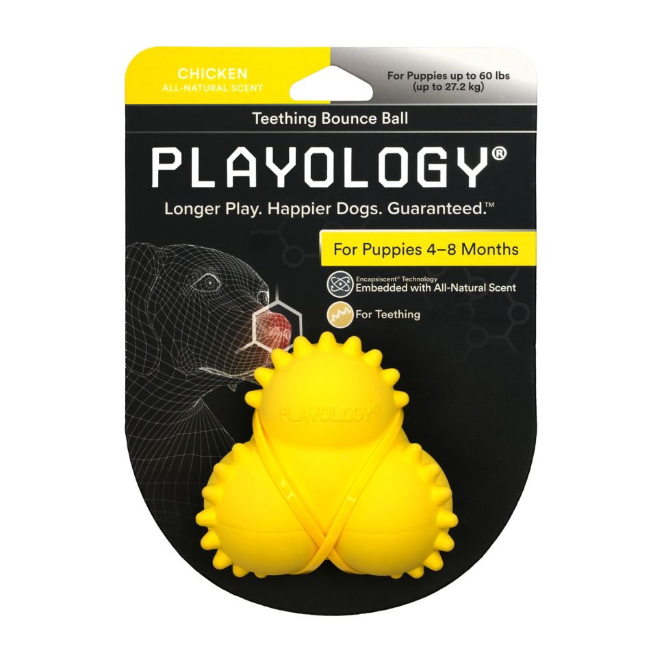 Playology дентальный жевательный тройной мяч SQUEAKY BOUNCE BALL для щенков 4-8 месяцев, с ароматом курицы, цвет желтый