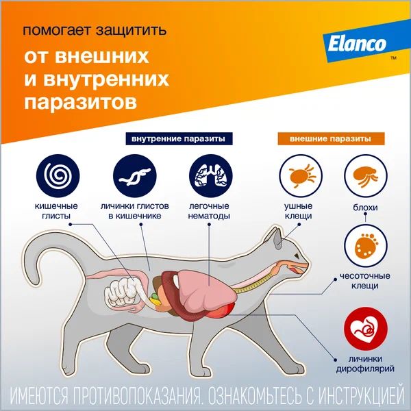 Bayer: Адвокат капли противопаразитарные для кошек 4-8 кг, 3 пип х 0,8 мл