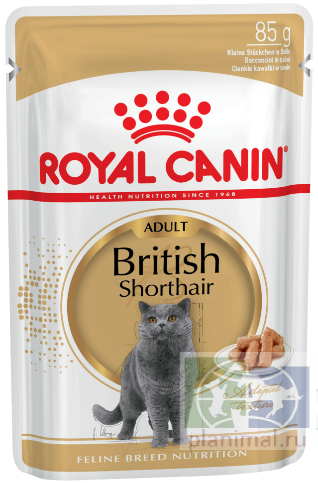 RC British Shorthair Adult (в соусе), Влажный корм для кошек британской короткошерстной породы старше 12 месяцев, мясо-рыба, 85 гр.
