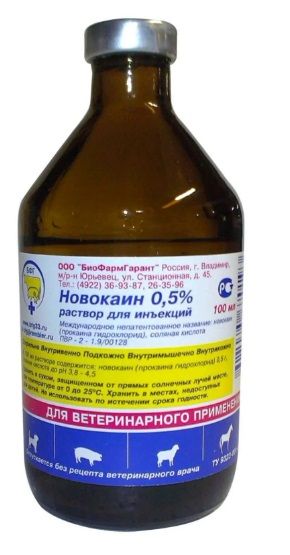 БиоФармГарант: Новокаин 0,5%, 100 мл 