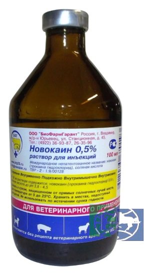 БиоФармГарант: Новокаин 0,5%, 100 мл 
