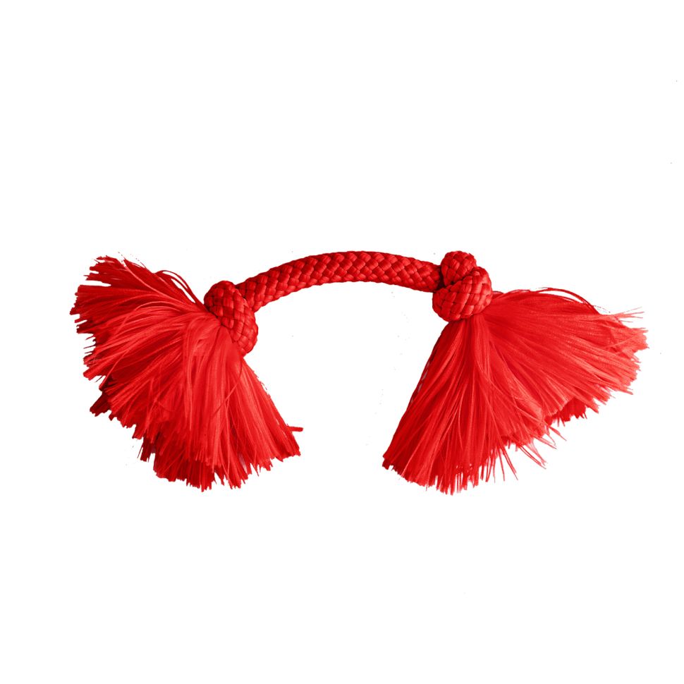 Playology жевательный канат DRI-TECH ROPE для собак мелких пород, с ароматом говядины, маленький, цвет красный