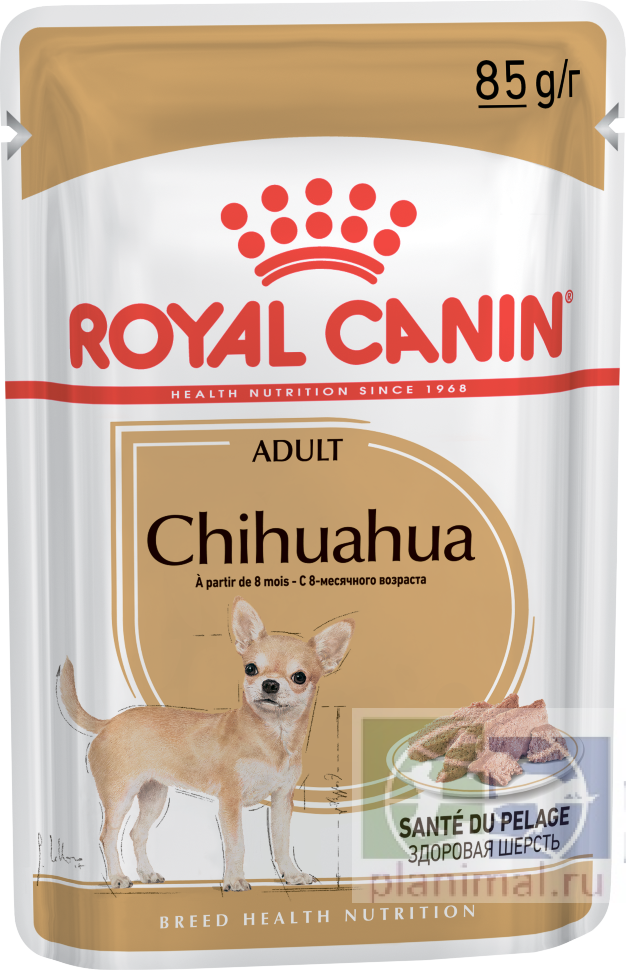 RC Chihuahua Adult (паштет), влажный корм для собак породы Чихуахуа в возрасте с 8 месяцев, свинина-курица, 85 гр. 