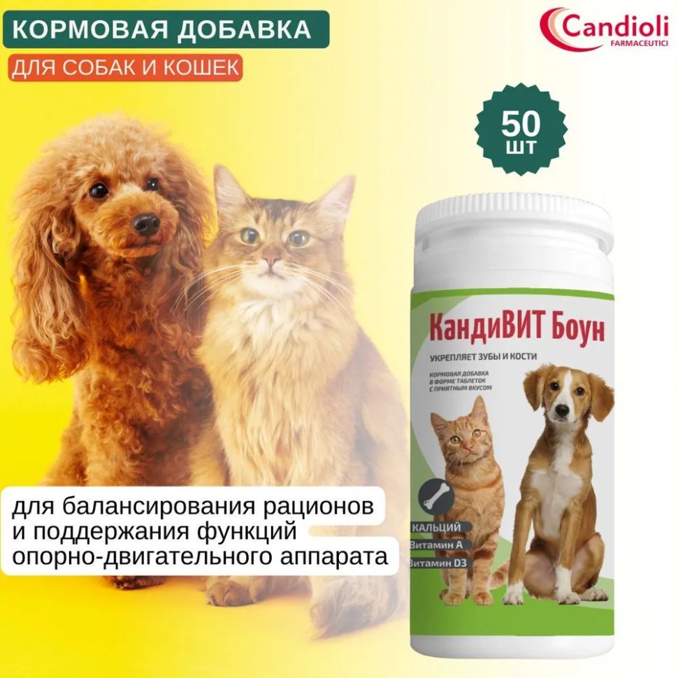 Candioli: КандиВИТ Боун, кормовая добавка для кошек и собак, для костей и зубов, с кальцием, 50 таблеток