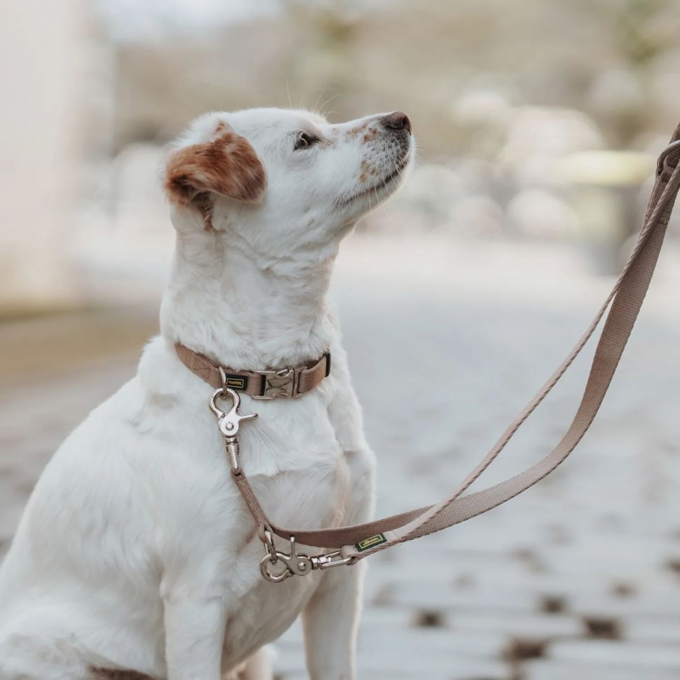 Hunter: ошейник для собак, ALU-Strong Inari S (30-45 см), нейлон, с металлической застежкой, бежевый