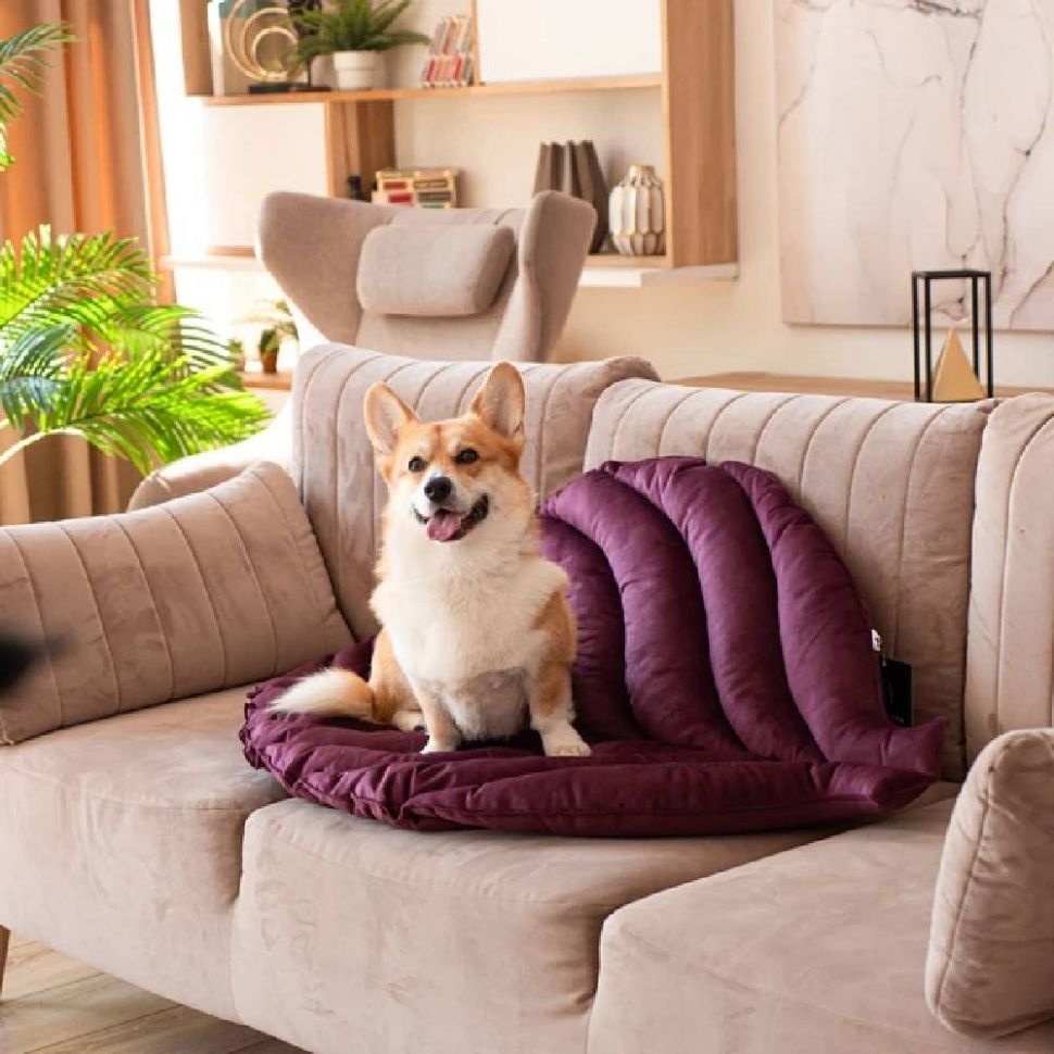 Mr.Kranch: Лежанка для собак, Листочек, средняя, фиолетовая, 90 х 65 х 5 см
