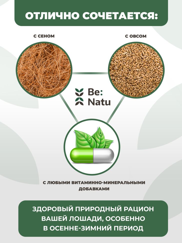 Be:Natu Лен Пре:фаб очищенная семечка льна, Ω-3-6 жирные кислоты, термически обработанный лен, 10 кг