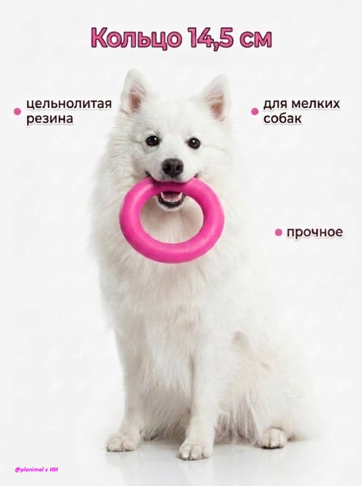 Triol: Игрушка для собак из цельнолитой резины Кольцо, 14,5 см, 12191057
