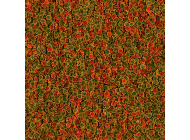 TetraPro Energy Crisps корм-чипсы для всех видов рыб для дополнительной энергии 250 мл