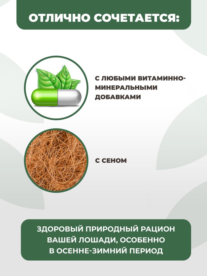 Be:Natu Овес Пре:фаб, термически обработанный овес, доступные углеводы, 10 кг