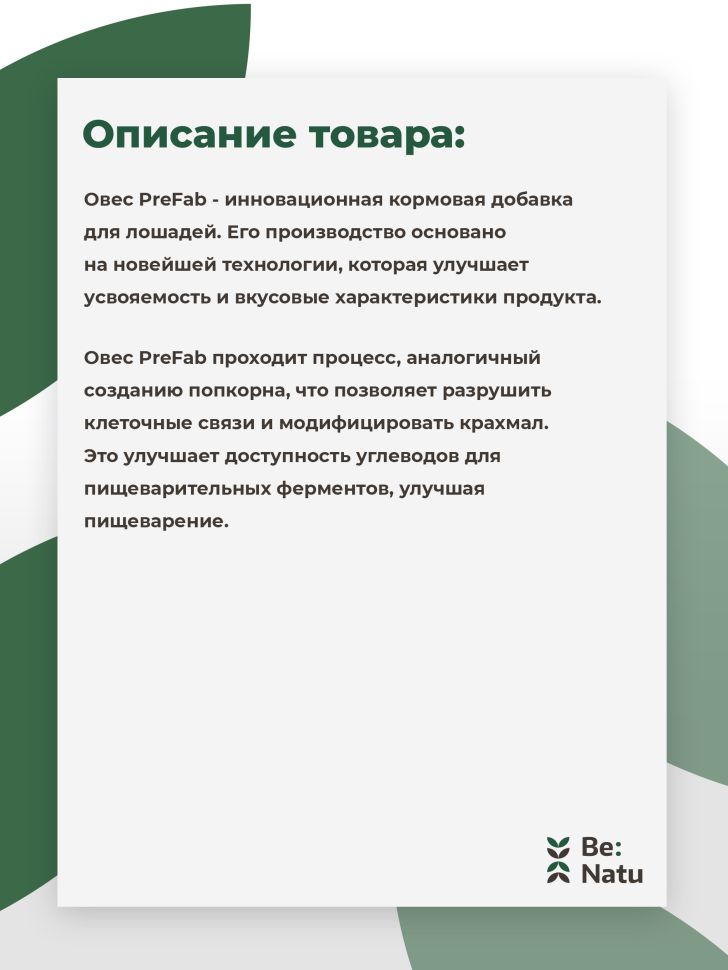 Be:Natu Овес Пре:фаб, термически обработанный овес, доступные углеводы, 10 кг
