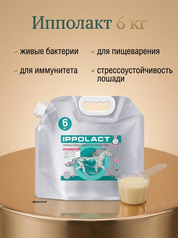 Пробио: Ипполакт, пробиотический мультикомплекс, канистра 5 л./6 кг 