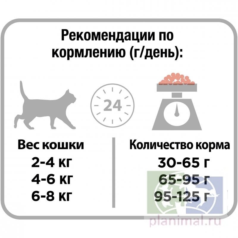 Сухой корм Purina Pro Plan Derma Plus для кошек с чувствительной кожей, лосось, пакет, 10 кг
