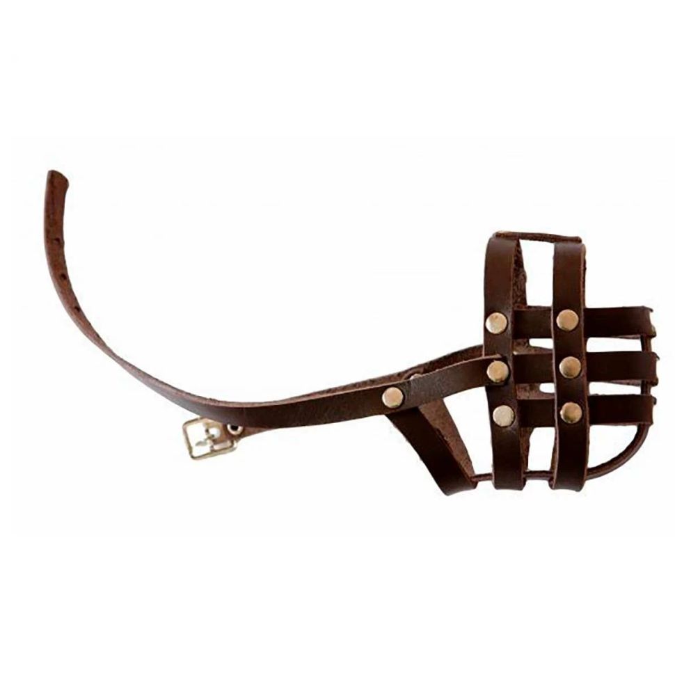 BRAVA: Намордник №1, АРТ301